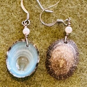 Natural Shell Limpet Earrings